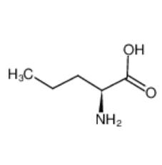 DL-正纈氨酸|760-78-1 
