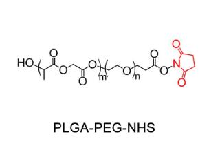 聚乳酸-羥基乙酸共聚物PEG活性酯PLGA-PEG-SCM，PLGA-PEG-NHS；聚乳酸-羥基乙酸共聚物聚乙二醇活性酯 
