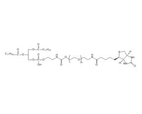 二油酰磷脂酰乙醇胺PEG生物素DOPE-PEG-BIOTIN；二油酰磷脂酰乙醇胺聚乙二醇生物素 