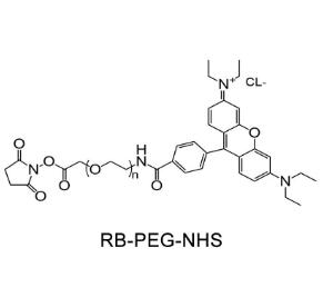 羅丹明PEG活性酯Rhodamine PEG NHS, RB-PEG-SCM；羅丹明聚乙二醇活性酯 