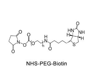 生物素PEG活性酯Biotin-PEG-NHS，Biotin-PEG-SCM；生物素聚乙二醇活性酯 